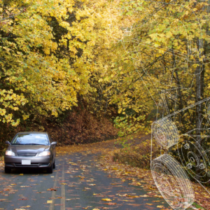 8 Essential Fall Car Care Tips